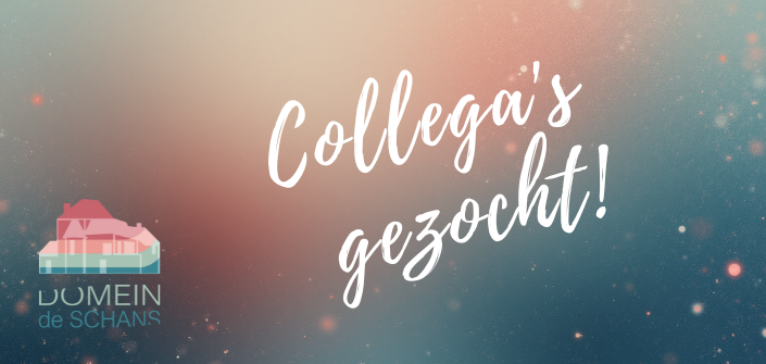 Vacature_collega-gezocht_DomeinKasteeldeSchans