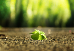 Licht-op-Rouw_CursuscentrumdeSchans